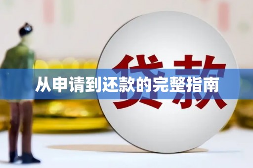 青神从申请到还款的完整指南