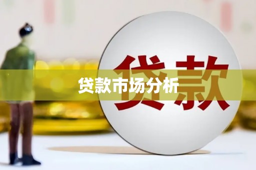 沙湾贷款市场分析