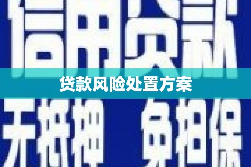 金湾贷款风险处置方案