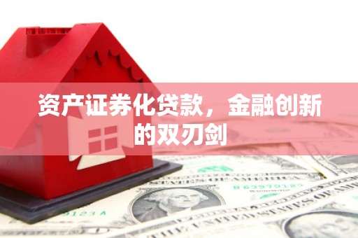 林甸资产证券化贷款，金融创新的双刃剑