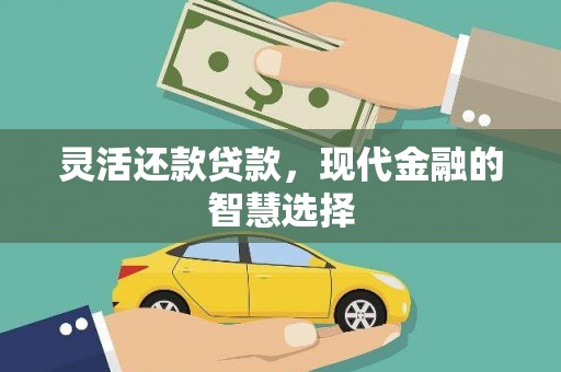 环江灵活还款贷款，现代金融的智慧选择