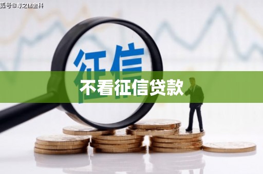 玄武不看征信贷款
