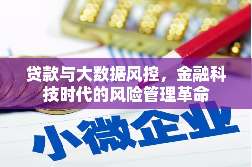 麻山贷款与大数据风控，金融科技时代的风险管理革命