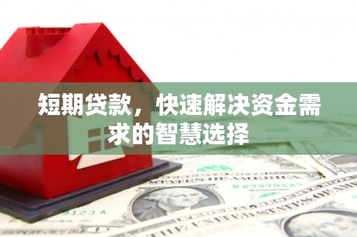 柳东短期贷款，快速解决资金需求的智慧选择