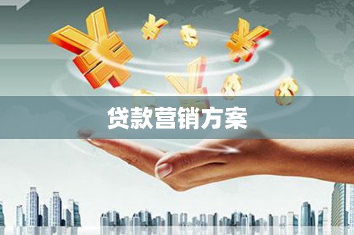 汉源贷款营销方案