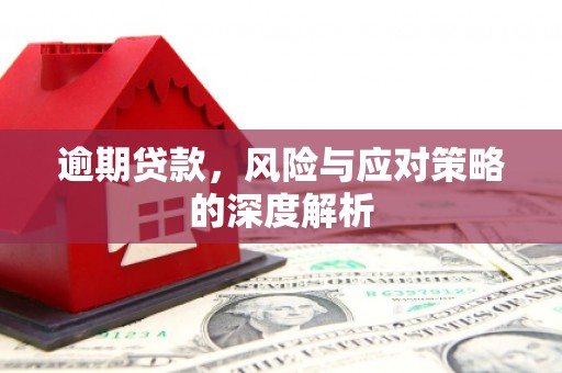 田林逾期贷款，风险与应对策略的深度解析
