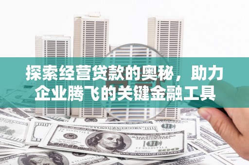 金湾探索经营贷款的奥秘，助力企业腾飞的关键金融工具