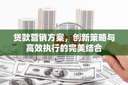舞阳贷款营销方案，创新策略与高效执行的完美结合