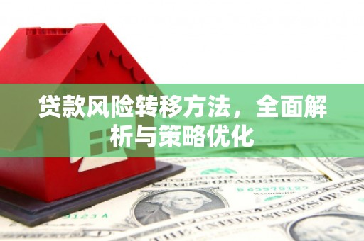 民丰贷款风险转移方法，全面解析与策略优化