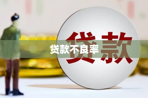 聂荣贷款不良率