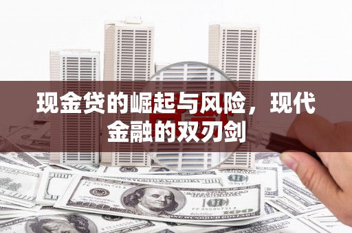 沧源现金贷的崛起与风险，现代金融的双刃剑