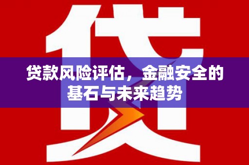 光明新区贷款风险评估，金融安全的基石与未来趋势