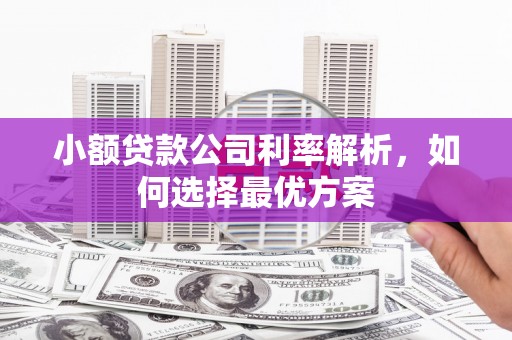 宜良小额贷款公司利率解析，如何选择最优方案