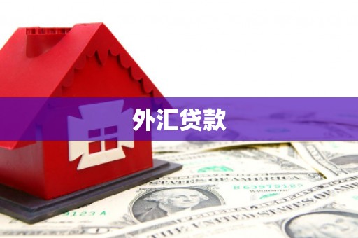 琼结外汇贷款