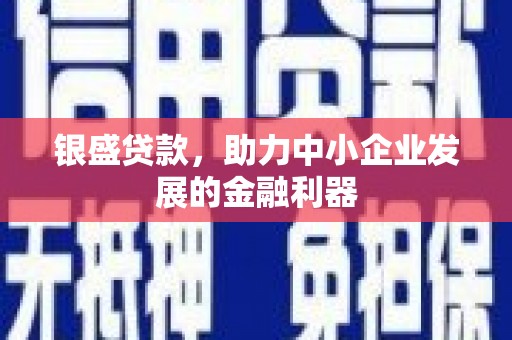 红星银盛贷款，助力中小企业发展的金融利器