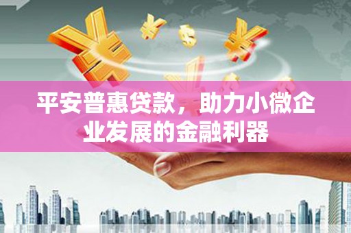 潍坊平安普惠贷款，助力小微企业发展的金融利器