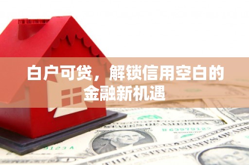 岱山白户可贷，解锁信用空白的金融新机遇