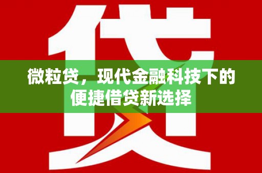 平谷微粒贷，现代金融科技下的便捷借贷新选择