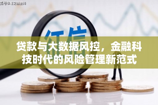 玄武贷款与大数据风控，金融科技时代的风险管理新范式