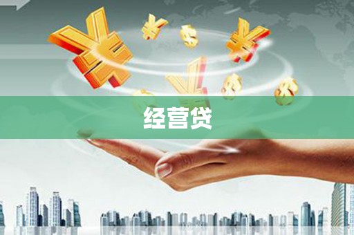 泰山经营贷