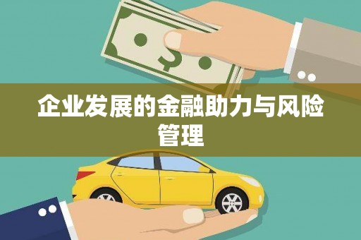 雷州企业发展的金融助力与风险管理