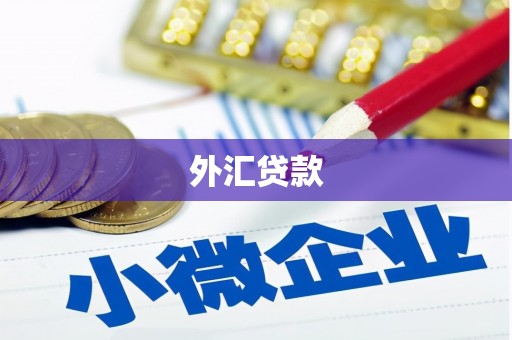 邱县外汇贷款
