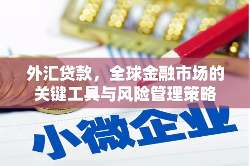 昔阳外汇贷款，全球金融市场的关键工具与风险管理策略
