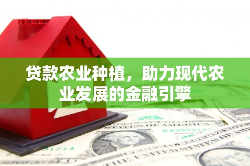 邓州贷款农业种植，助力现代农业发展的金融引擎