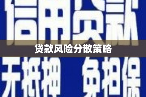 新会贷款风险分散策略