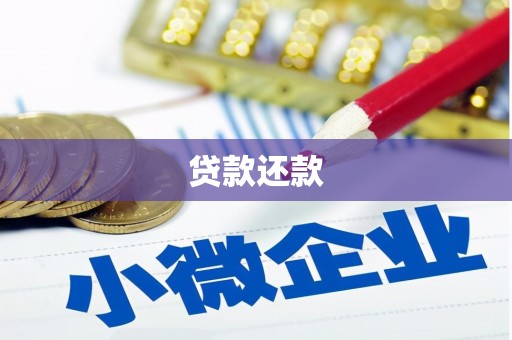 桑日贷款还款