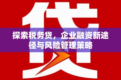 泰来探索税务贷，企业融资新途径与风险管理策略