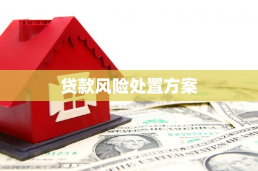 马公贷款风险处置方案
