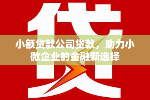 坪林小额贷款公司贷款，助力小微企业的金融新选择