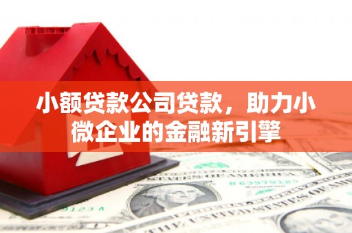 林芝小额贷款公司贷款，助力小微企业的金融新引擎