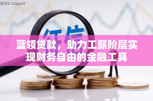 龙游蓝领贷款，助力工薪阶层实现财务自由的金融工具