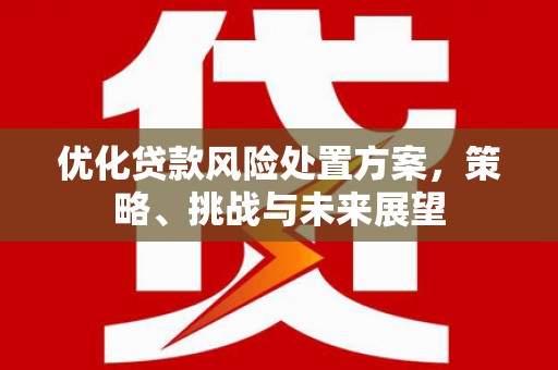恒春优化贷款风险处置方案，策略、挑战与未来展望