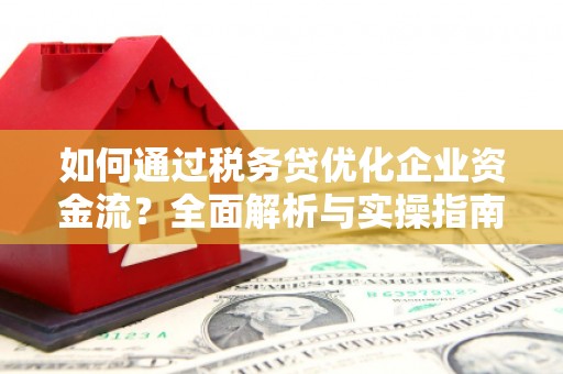 盘县如何通过税务贷优化企业资金流？全面解析与实操指南