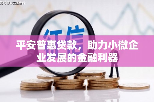 站前平安普惠贷款，助力小微企业发展的金融利器