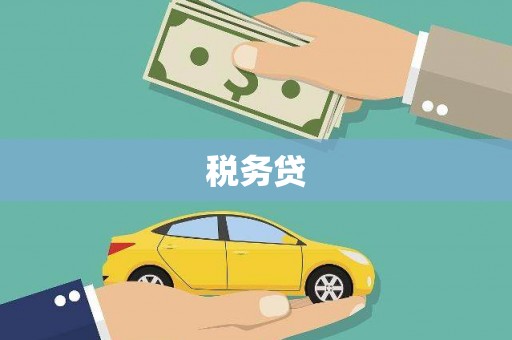 盐源税务贷