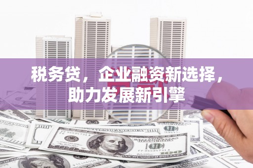 普湾新区税务贷，企业融资新选择，助力发展新引擎