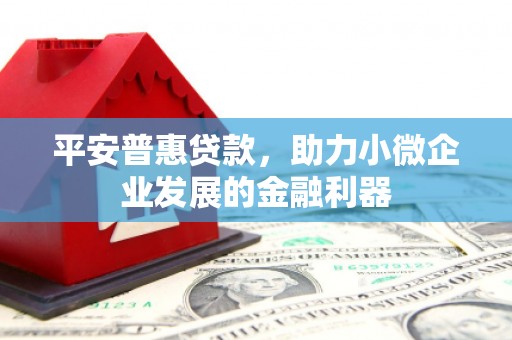线西平安普惠贷款，助力小微企业发展的金融利器