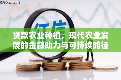 淳安贷款农业种植，现代农业发展的金融助力与可持续路径