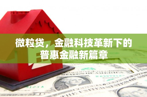 葵青微粒贷，金融科技革新下的普惠金融新篇章