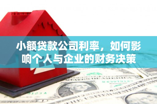 宝应小额贷款公司利率，如何影响个人与企业的财务决策