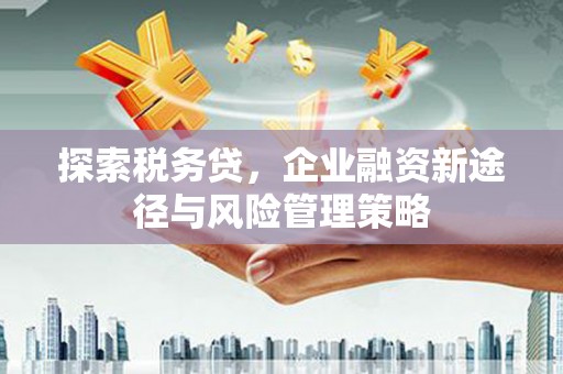 盐田探索税务贷，企业融资新途径与风险管理策略