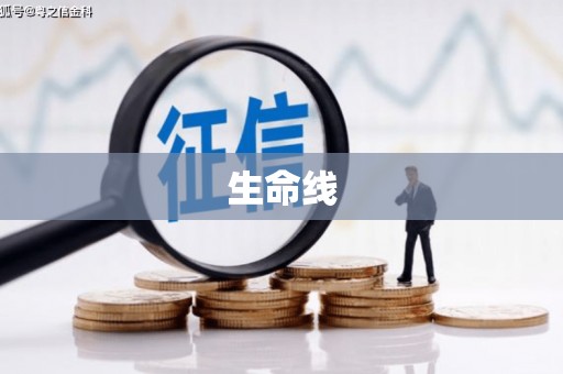 临邑生命线