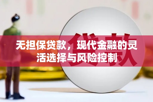 贞丰无担保贷款，现代金融的灵活选择与风险控制