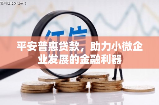 宾阳平安普惠贷款，助力小微企业发展的金融利器