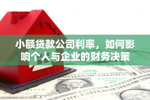 驿城小额贷款公司利率，如何影响个人与企业的财务决策