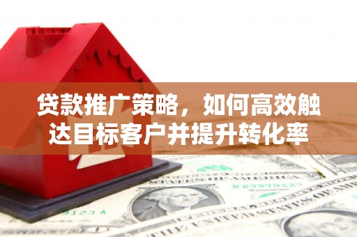 沙湾贷款推广策略，如何高效触达目标客户并提升转化率